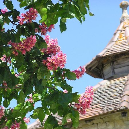 Domaine De L'Isle Basse Bed and Breakfast Fontanes  Buitenkant foto